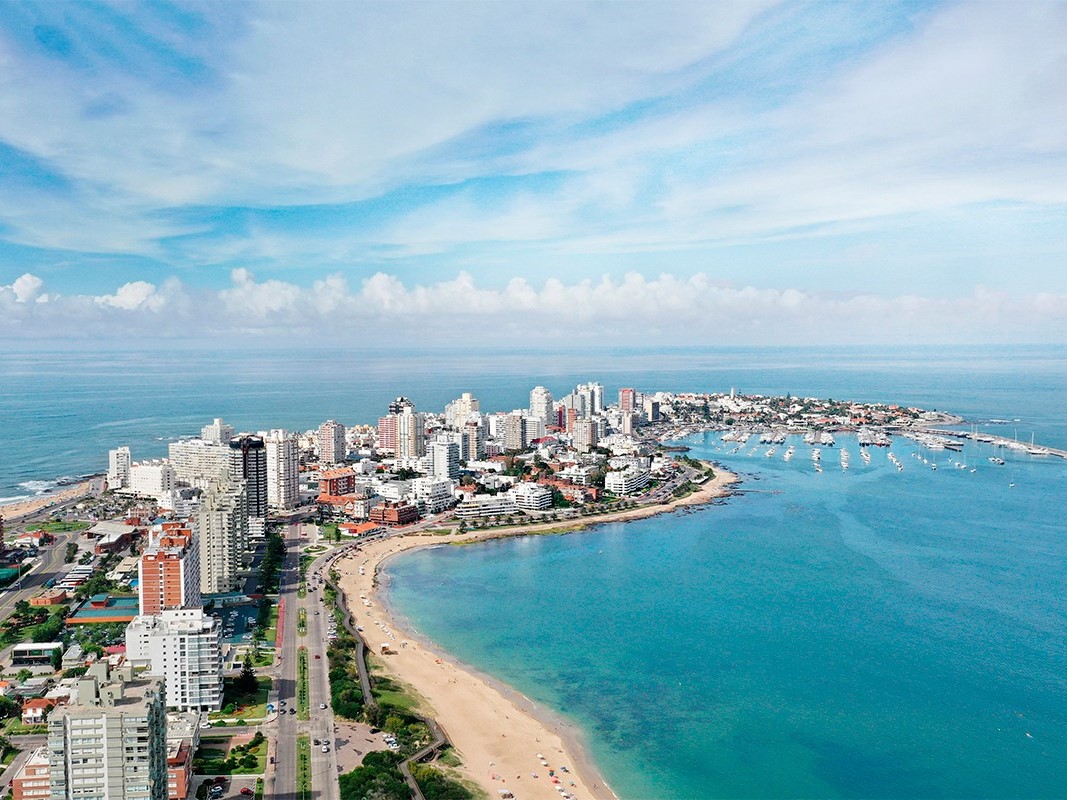 WhatsApp Image 2024-01-09 at 6.17.28 PM (1)