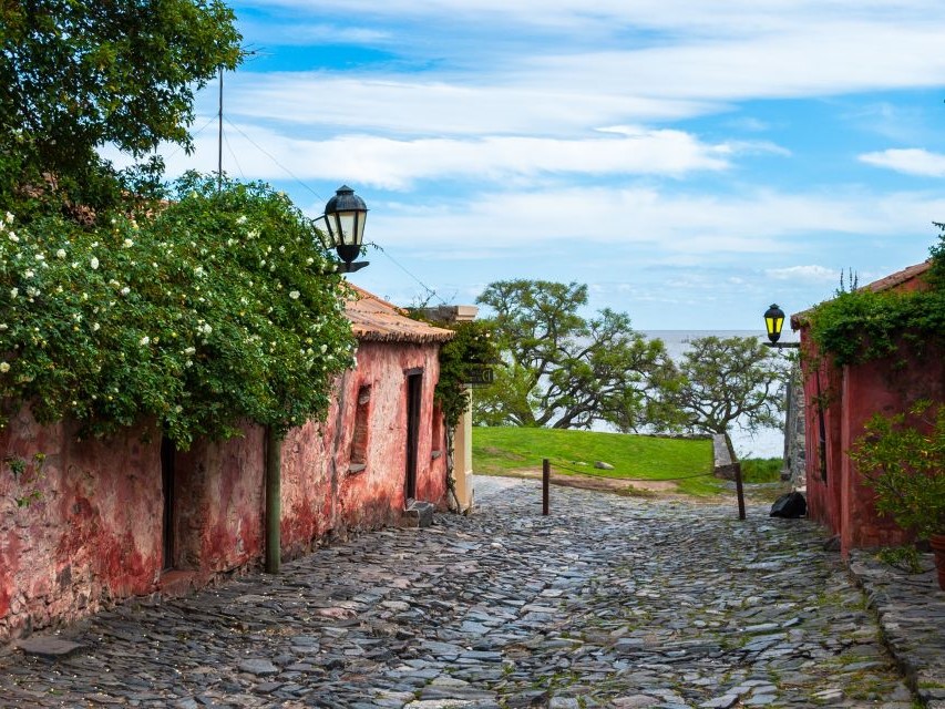 a20b9d0d-c5d0-47ce-b7df-842e28778061